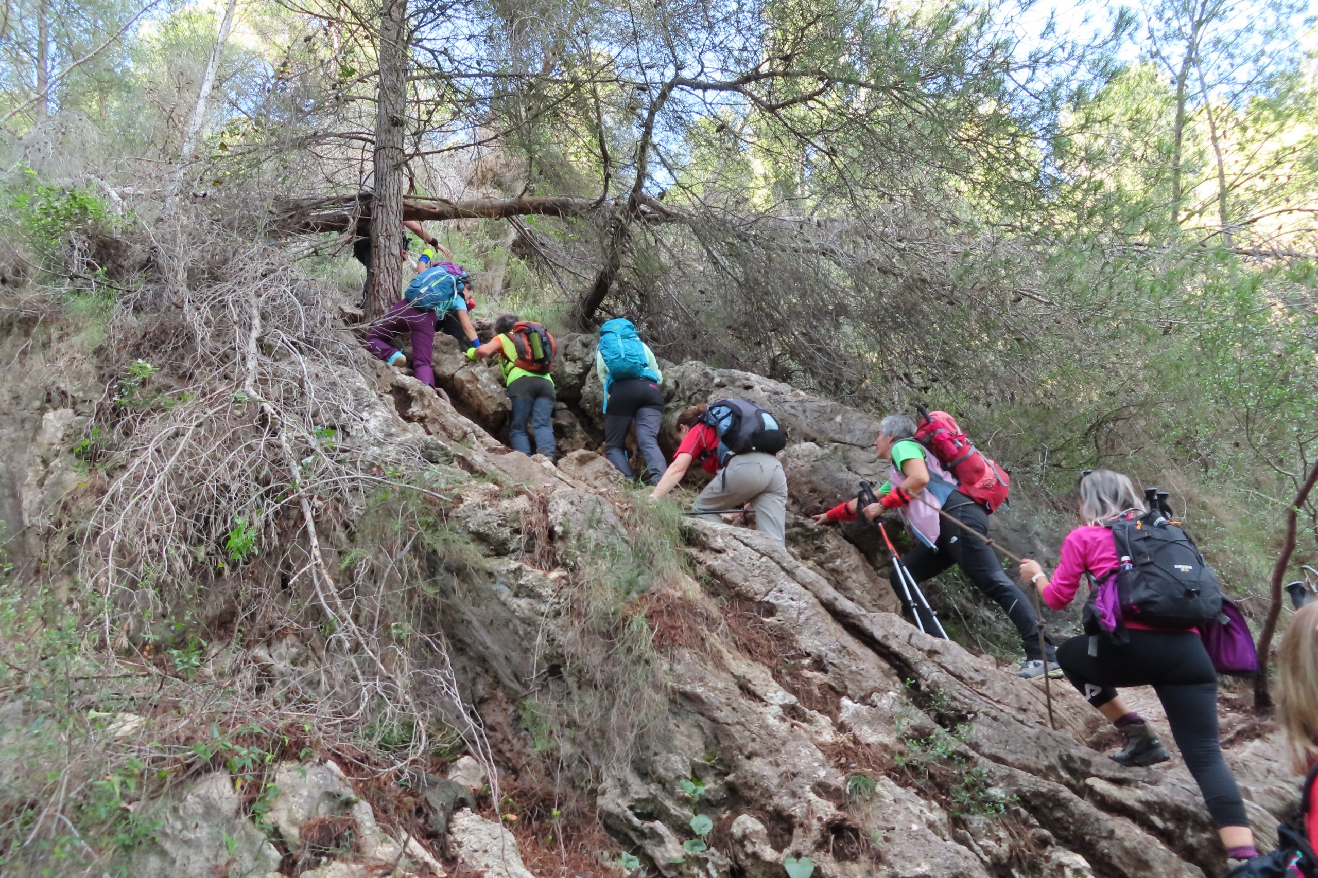 barranco_cmsa.